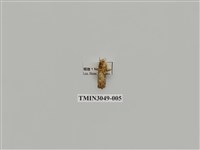 藏品(夜蛾759)的圖片